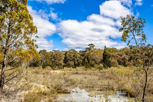 오스트레일리아 뉴사우스웨일스주 지역에 있는건 지대와 늪지대 — 스톡 사진