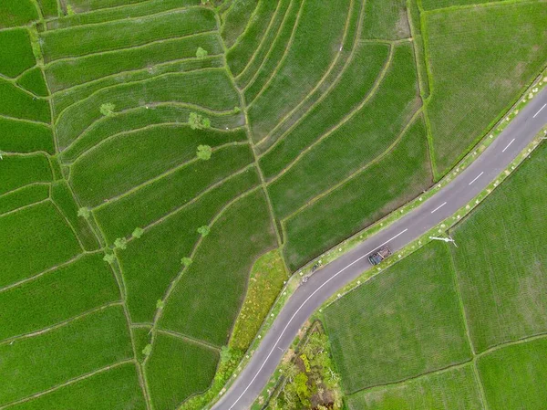 Een Luchtfoto Van Weg Omringd Door Rijstvelden Bali Indonesië — Stockfoto