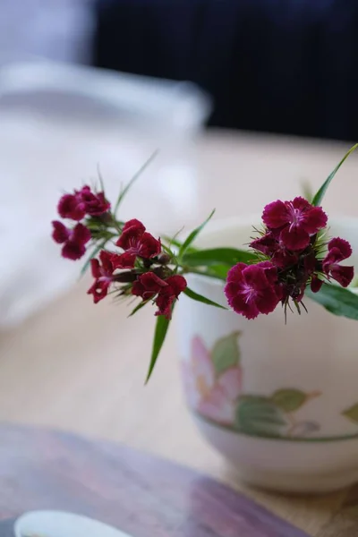 Eine Vertikale Nahaufnahme Von Nelkenblüten Einer Vase — Stockfoto