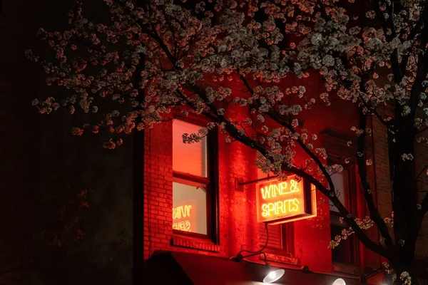 Uma Vista Noturna Wine Store Manhattan Com Flor Cereja Frente — Fotografia de Stock