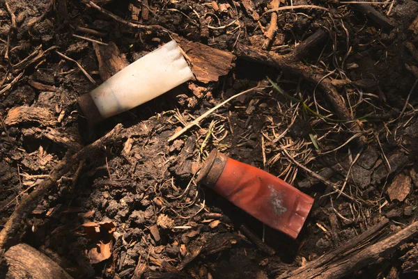 森の中に土と倒木の枝に散在する錆びた古い散弾銃の殻のペア — ストック写真