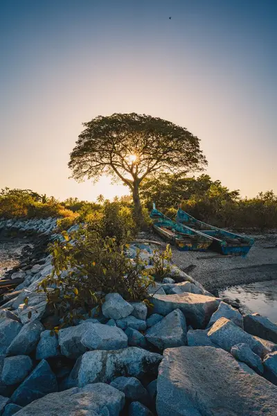 Güneş Işığının Dikey Görüntüsü Kayalık Bir Sahildeki Eski Kanoların Yanında — Stok fotoğraf