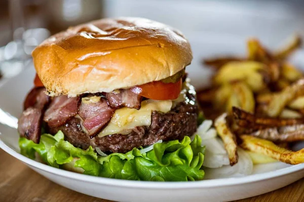 Bir Tabak Lezzetli Hamburger Patates Kızartması — Stok fotoğraf