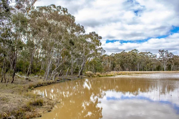 オーストラリア ニューサウスウェールズ州エマビルの農村部の乾燥したブッシュランドと湿地 — ストック写真