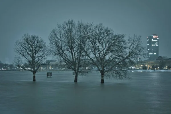 Een Avond Uitzicht Van Bomen Overstroomde Rijn Rivier Buurt Van — Stockfoto