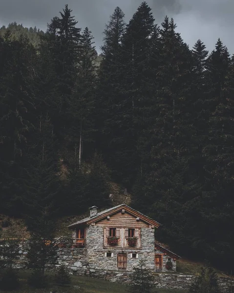 Arka Planda Uzun Çam Ağaçları Olan Güzel Bir Evin Dikey — Stok fotoğraf