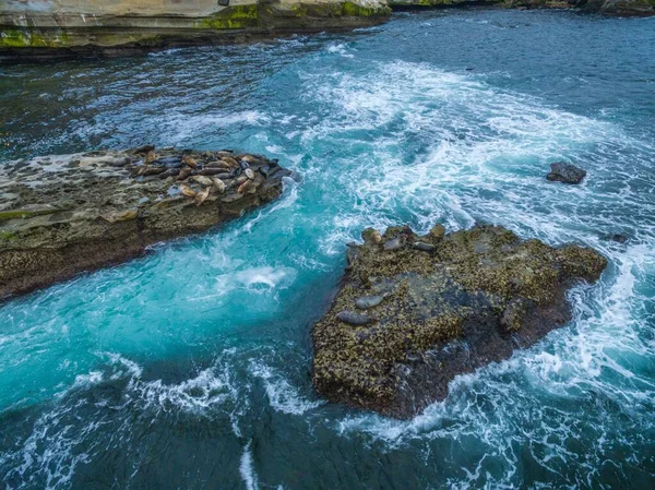 Onde Oceaniche Schiumose Che Infrangono Rocce Muschiose Jolla Cove San — Foto Stock