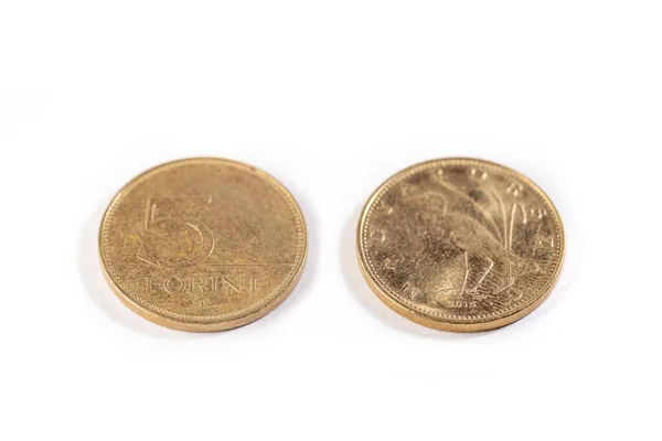 白い背景に隔離された2つのハンガリーの5つのコイン — ストック写真