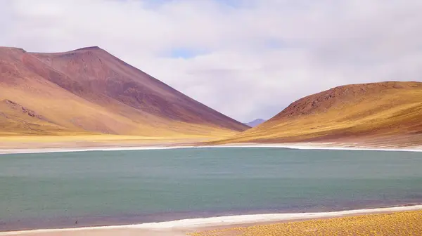 San Pedro Atacama Şili Deki Cerro Miscanti Yanardağının Eteğindeki Miniques — Stok fotoğraf