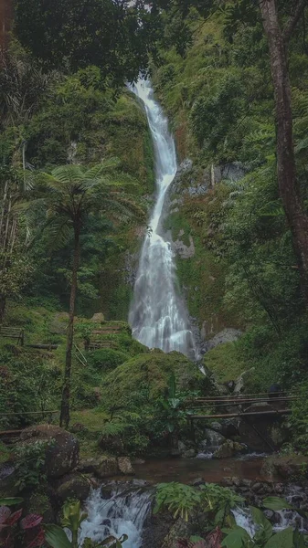 Vertical Shot Waterfall Glorious Green Jungle — Stock Photo, Image
