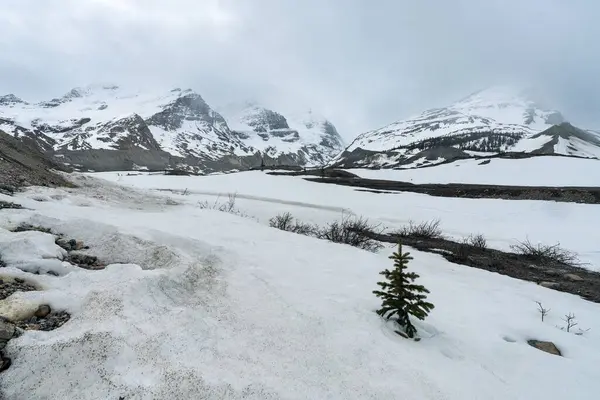 白雪覆盖的高山上迷人的风景 — 图库照片