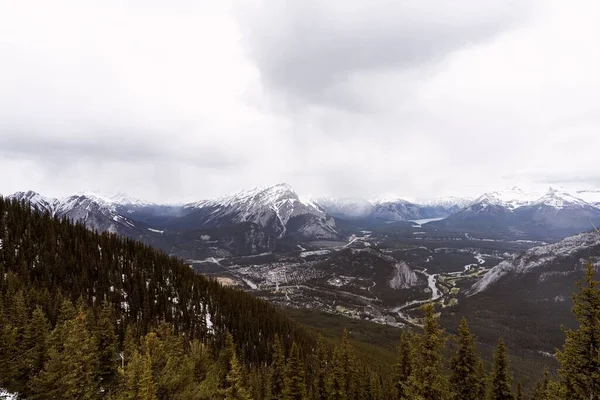 Mesmerizing View Snowy Mountains Evergreen Tree Forest — Stock Photo, Image