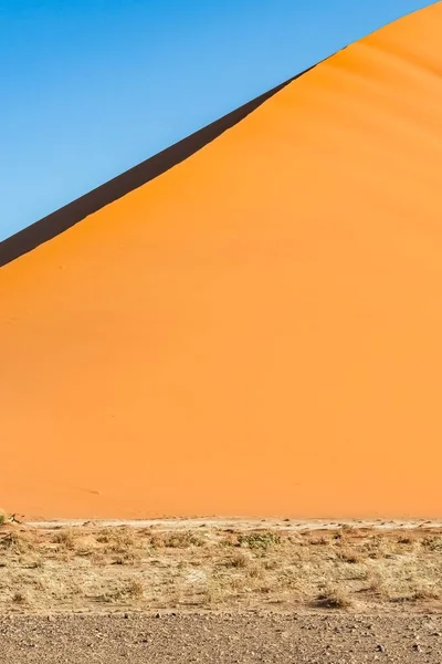 Namibie Désert Namibien Arbre Isolé Dans Les Dunes Rouges Arrière — Photo