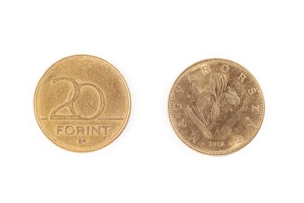 Dwie Węgierskie Monety Forint Izolowane Białym Tle — Zdjęcie stockowe