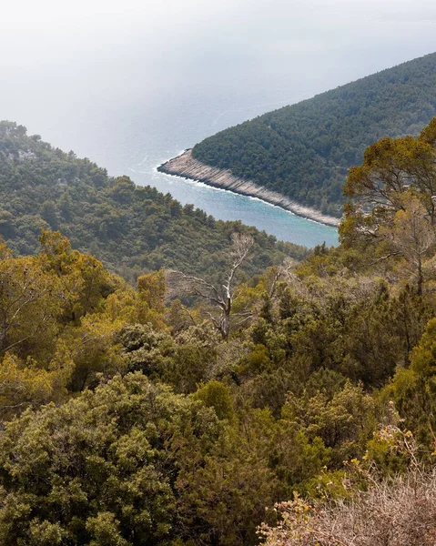 Vertikal Bild Kust Täckt Med Grön Skog Nära Adriatiska Havet — Stockfoto