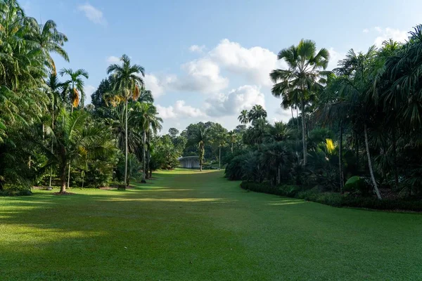 Vue Sur Sérénité Des Jardins Botaniques Singapour Espace Copie — Photo