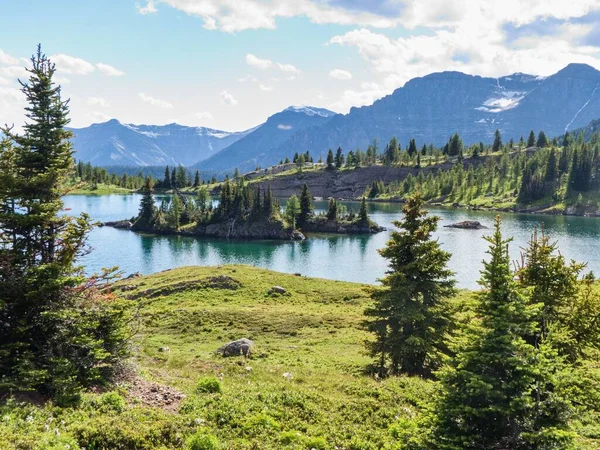 캐나다 앨버타주의 아름다운 초원에 아름다운 — 스톡 사진