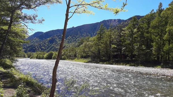 Cenário Tranquilo Córrego Claro Kamikochi Prefeitura Nagano Japão — Fotografia de Stock