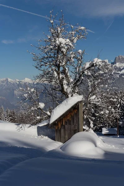 Pionowe Ujęcie Zaśnieżonej Drewnianej Kabiny Zimowych Alpach Francuskich — Zdjęcie stockowe