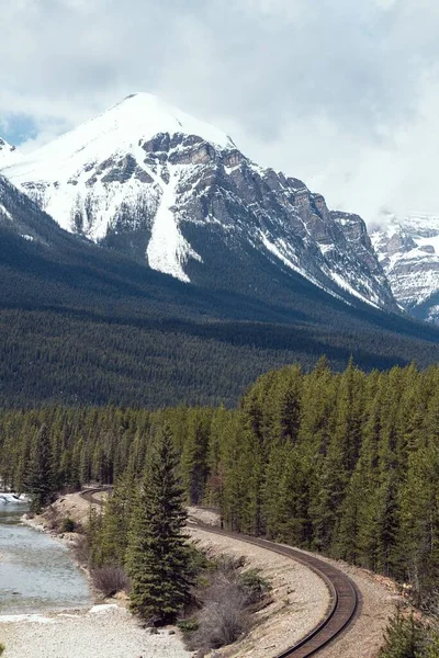 Tiro Vertical Montanha Coberta Neve Com Pinheiros Primeiro Plano Banff — Fotografia de Stock
