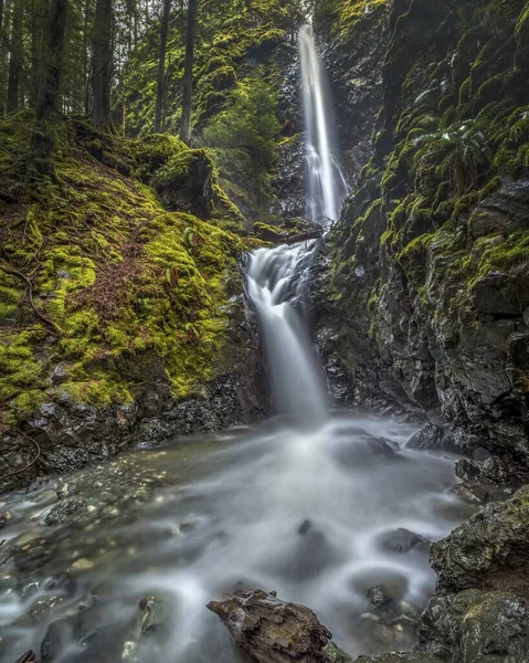 Bela Lupin Falls Strathcona Provincial Park Canadá Coberta Por Rochas — Fotografia de Stock