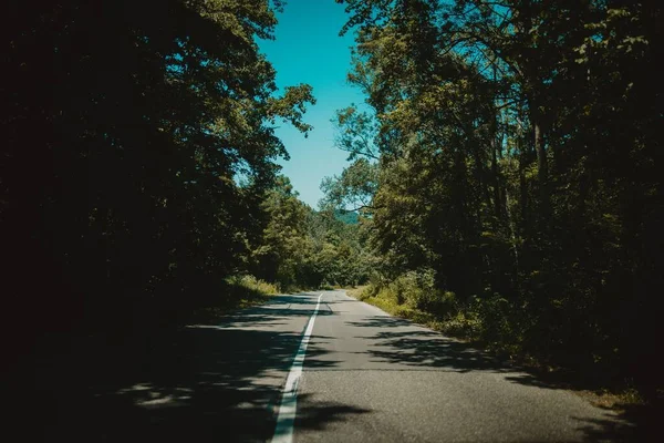 Eine Lange Autobahn Mit Bäumen Auf Beiden Seiten — Stockfoto