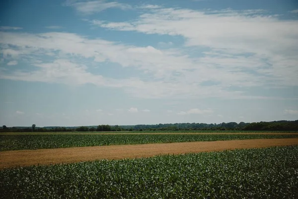 Ein Malerischer Blick Auf Ein Landwirtschaftliches Feld Der Landschaft Unter — Stockfoto
