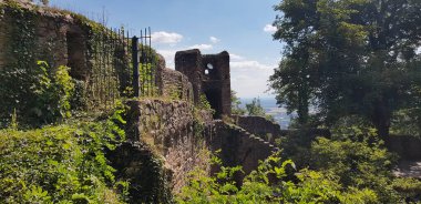 Almanya 'daki Auerbach Şatosu' nun güzel bir manzarası var. Gün ışığında bitkiler ve ağaçlar onu kaplıyor.
