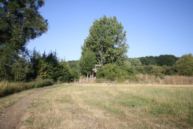 Güneşli bir günde yeşil kırsal alanda bir patika.
