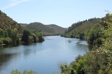Ağaçlar ve dağlarla çevrili güzel bir nehir manzarası.