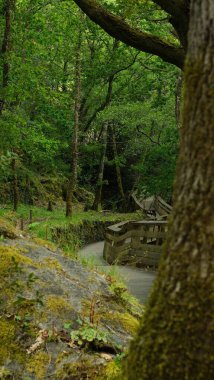 Portekiz 'deki Paiva yürüyüş alanının dikey görüntüsü.