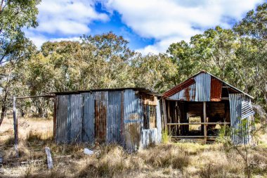 Emmaville, Yeni Güney Galler, Avustralya 'nın kırsal kesimlerindeki bataklıkların yakınında eski bir kır kulübesi.