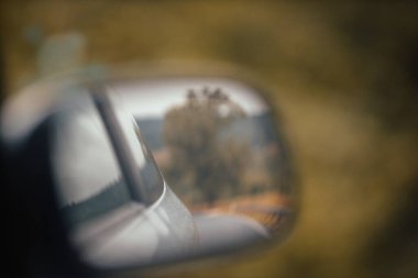 Bir arabanın yan aynasında yol kenarındaki yeşil ağacın bulanık yansıması.
