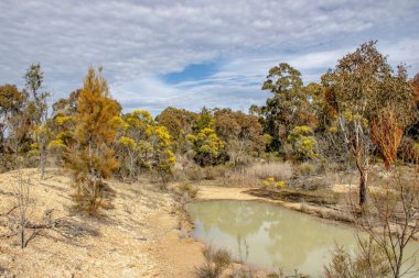 Bulutlu bir günde güzel bir göl.