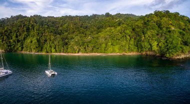 Yatlar Karayipler 'de demirliyor. Arkasında kumsal ve orman var. Bu bölge UNESCO 'nun Kuzeydoğu Tobago Man ve Biyosfer rezervinin bir parçasıdır.