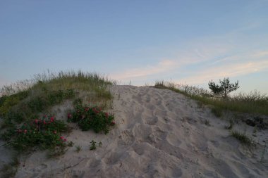 Kumlu tepenin bir görüntüsü