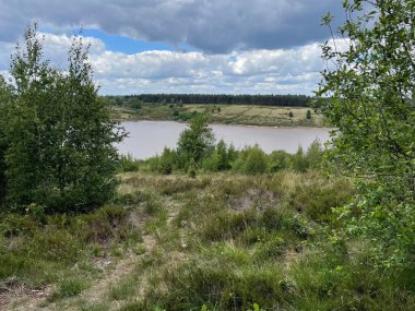 Arka planda sık ağaçlar olan sakin bir göl manzarası.