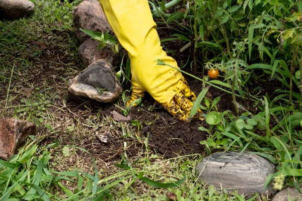 Primo Piano Una Persona Che Lavora Giardino Indossando Guanti Gialli — Foto Stock