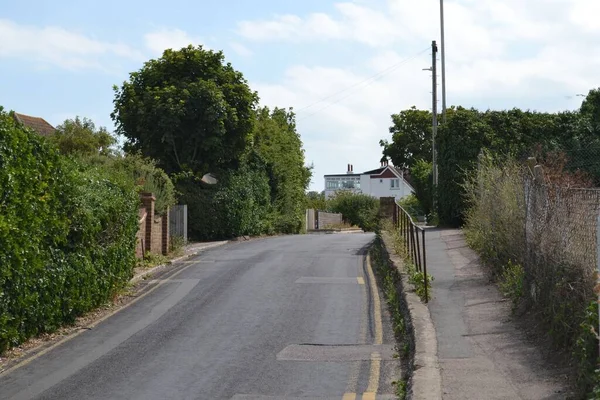 Una Calle Con Exuberantes Árboles Verdes Que Arriendan Faro North — Foto de Stock