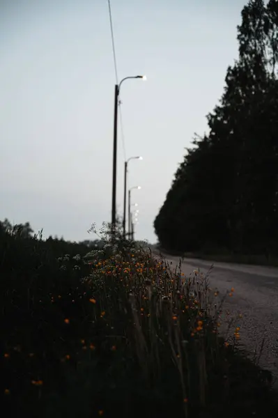 Een Verticale Opname Van Een Kleine Rustige Weg Het Platteland — Stockfoto