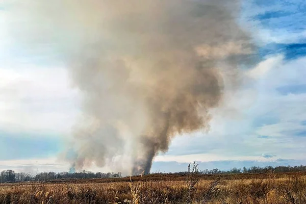 Een Brand Een Stortplaats Buurt Van Birobidzhan Rusland — Stockfoto