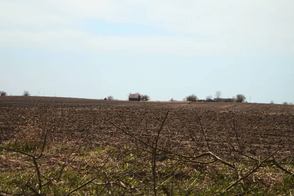 Ein Riesiges Unbepflanztes Maisfeld Mit Ein Paar Kleinen Holzhäusern Unter — Stockfoto