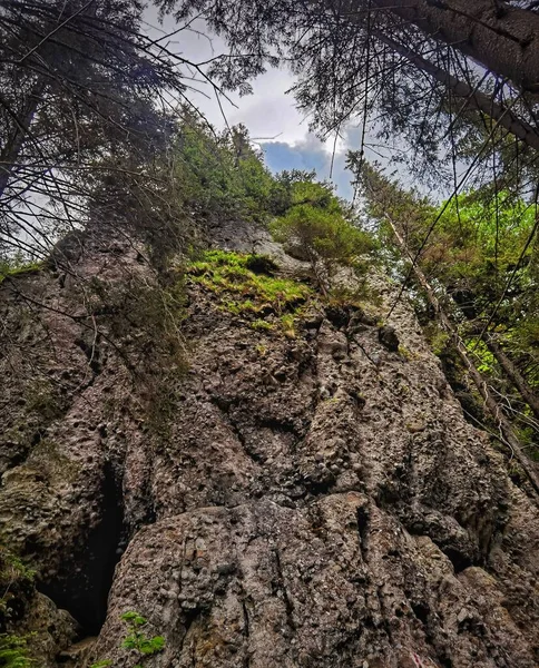 Colpo Angolo Basso Verticale Una Scogliera Con Vegetazione — Foto Stock