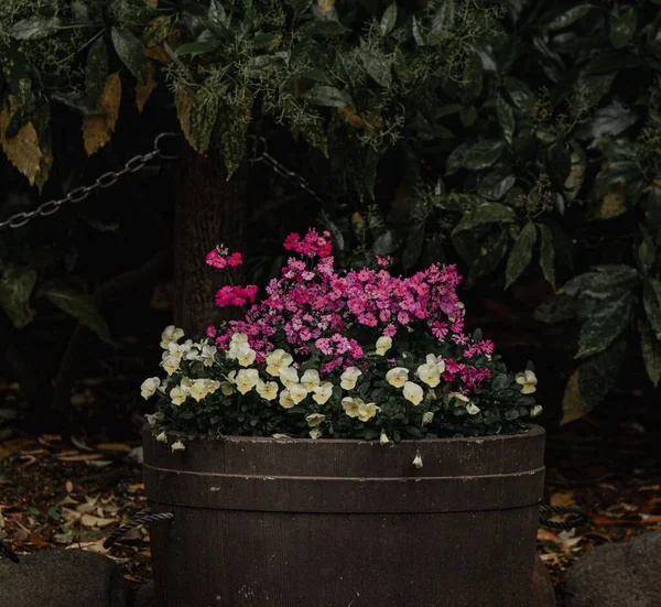 Närbild Trätunna Fylld Med Blommor Utomhus — Stockfoto