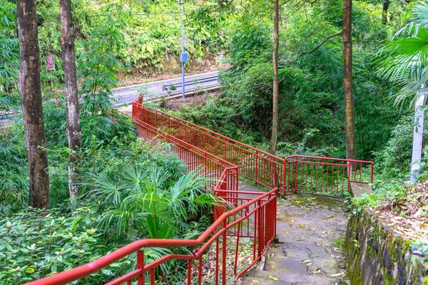 Sebuah Jembatan Dengan Penghalang Logam Merah Dikelilingi Oleh Pohon Pohon — Stok Foto