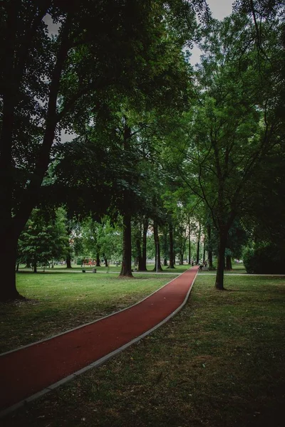 Belo Jardim Com Caminho Estreito Árvores Verdes Exuberantes Fundo — Fotografia de Stock