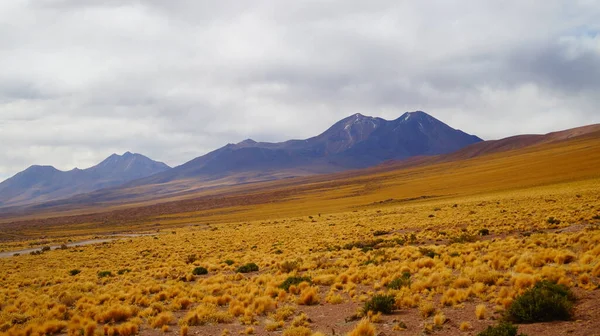 Paysage Désert Atacama Des Montagnes Près San Pedro Atacama Chili — Photo