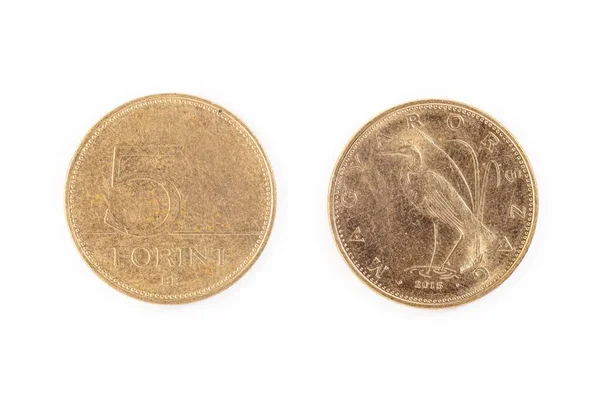Dwie Węgierskie Monety Forint Izolowane Białym Tle — Zdjęcie stockowe
