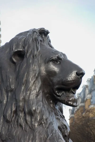 Вертикальный Снимок Статуи Каменного Льва Трафальгарской Площади Лондоне Англия — стоковое фото