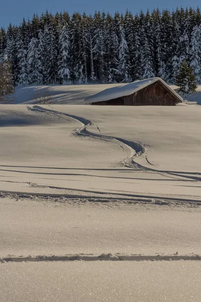 法国阿尔卑斯山地区的松树林旁边的一座木头房子在冬天的垂直拍摄 — 图库照片